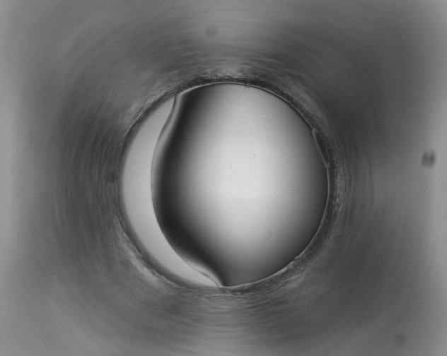 X0000113080489200909111007