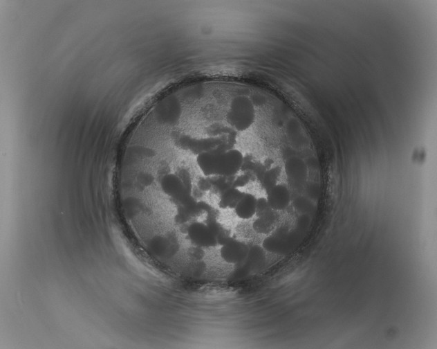 X0000113080491200909111007