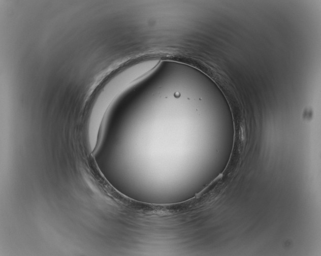 X0000113080492200909111007