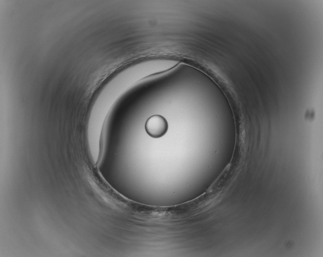 X0000113080493200909111007