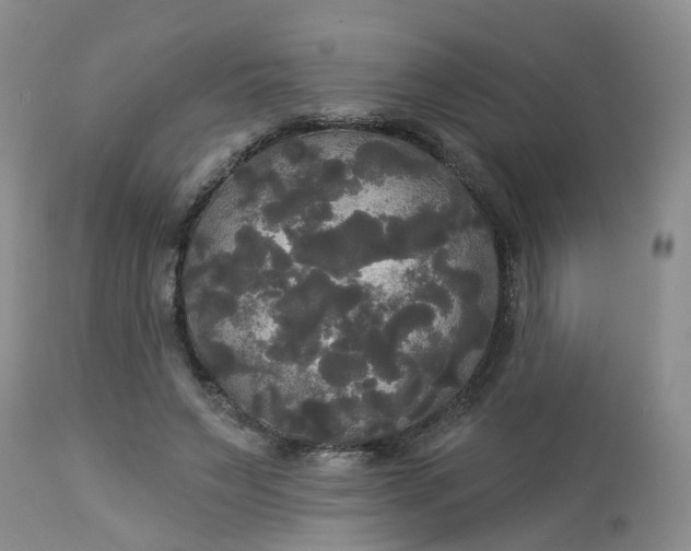 X0000113080495200909111007