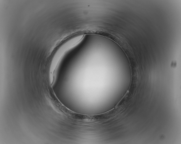 X0000113080496200909111007