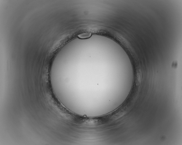 X0000113080497200909111007