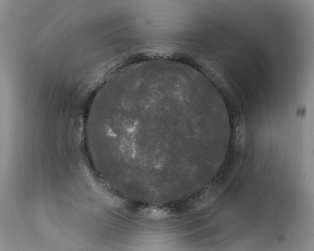 X0000113080498200909111007