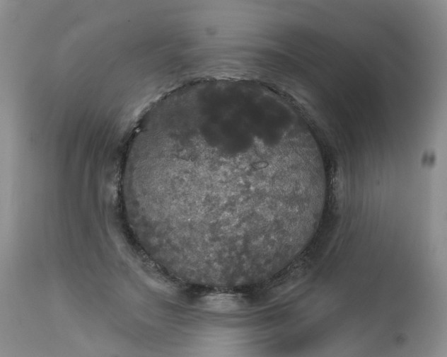 X0000113080499200909111007