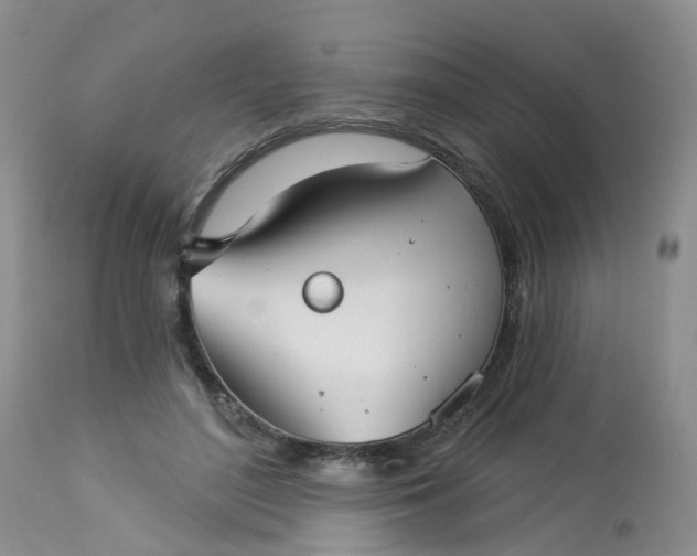 X0000113080500200909111007