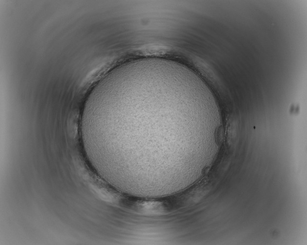 X0000113080501200909111007