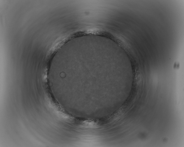 X0000113080502200909111006