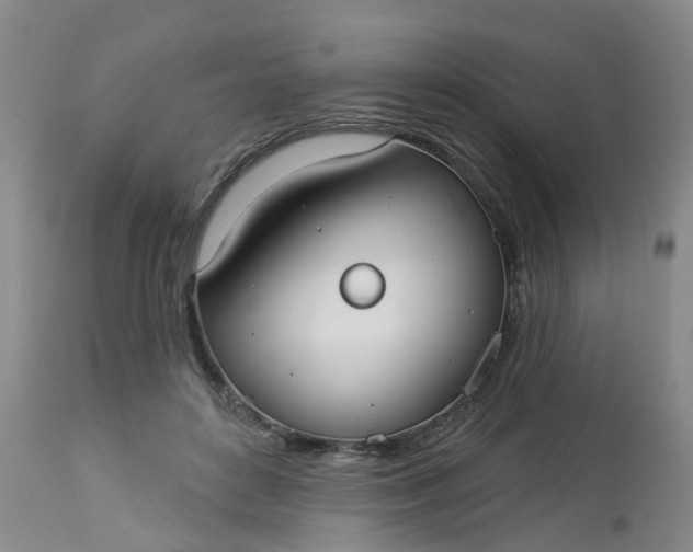 X0000113080504200909111006