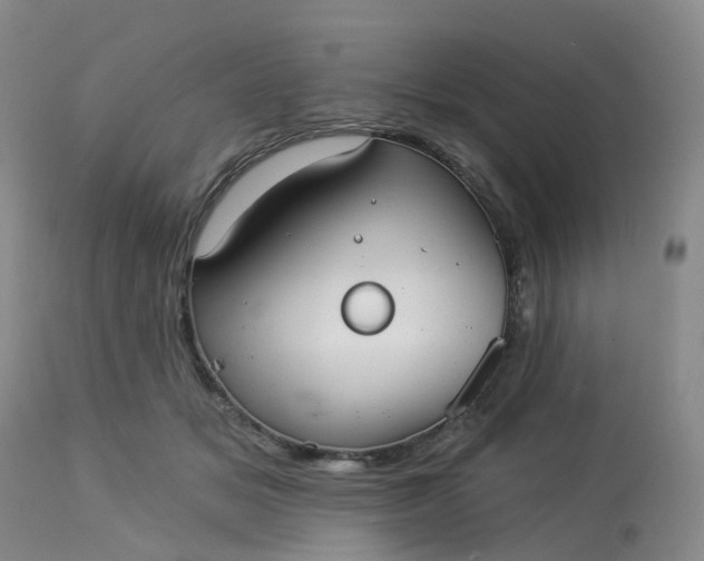 X0000113080509200909111006