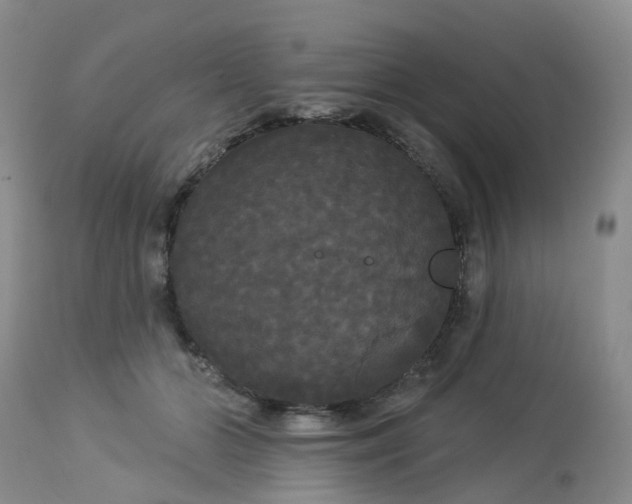 X0000113080510200909111006