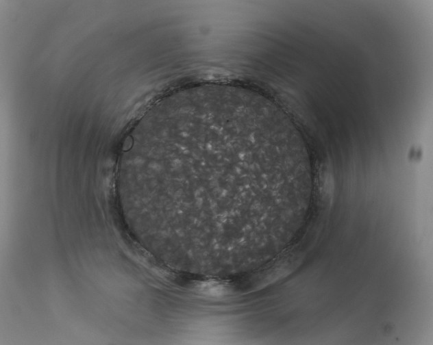 X0000113080511200909111006