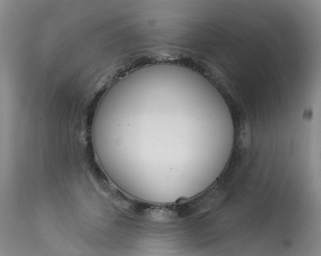 X0000113080512200909111006