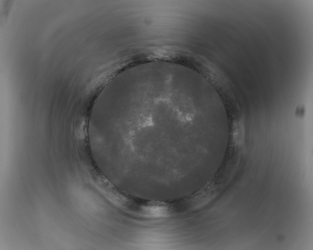 X0000113080514200909111006