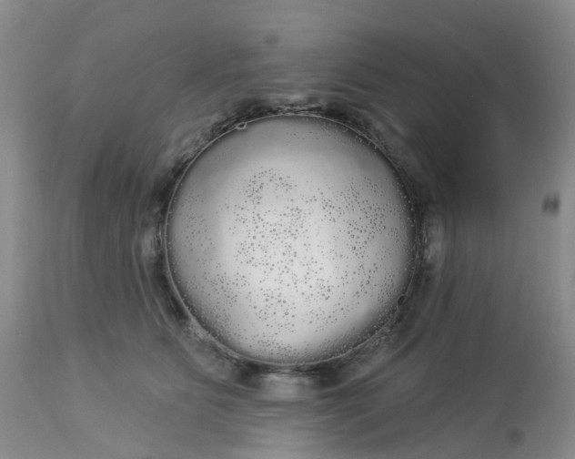 X0000113080515200909111006