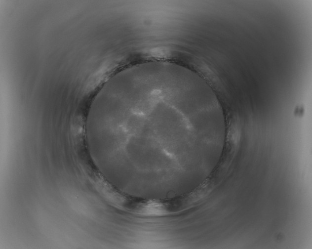 X0000113080518200909111006