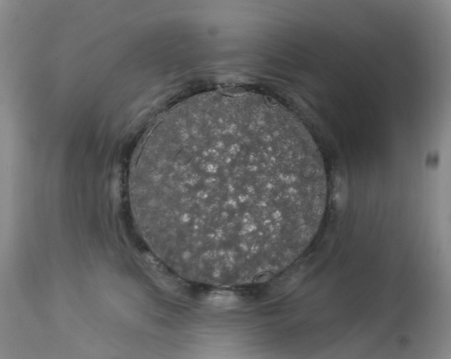 X0000113080519200909111006