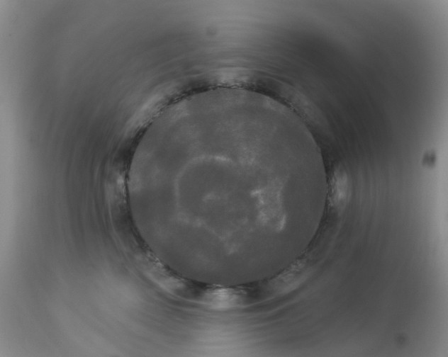 X0000113080522200909111006