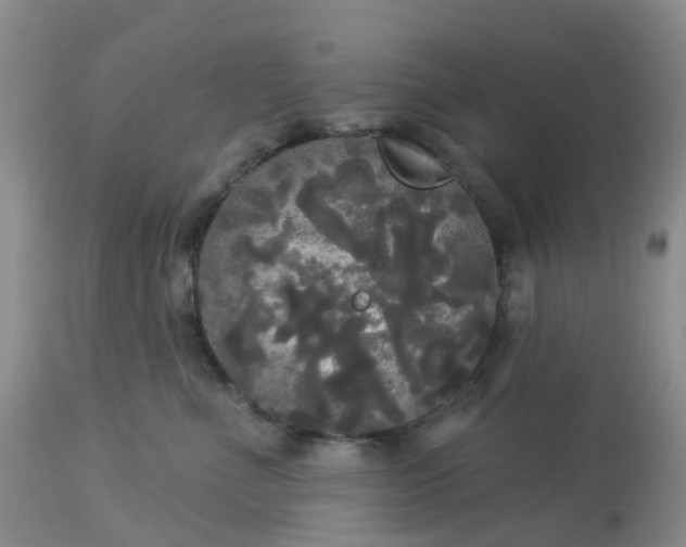 X0000113080523200909111006