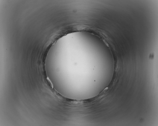 X0000113080524200909111006