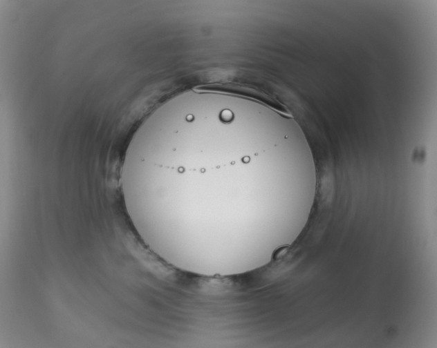 X0000113080525200909111006