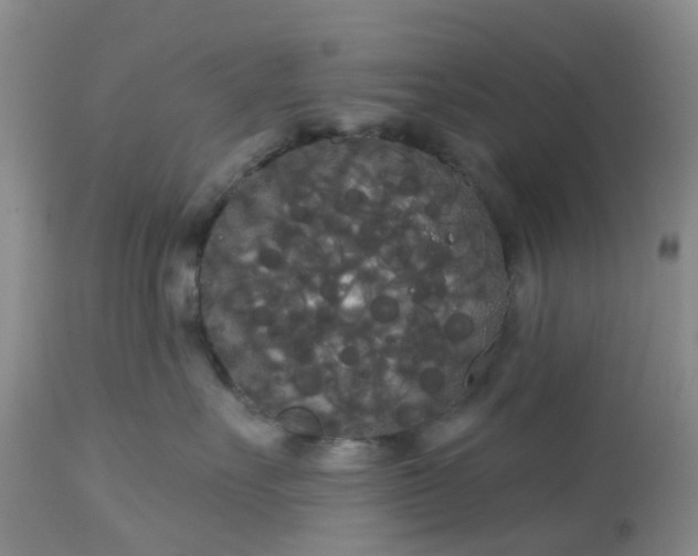 X0000113080527200909111006