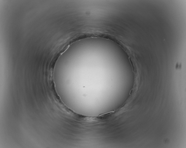 X0000113080528200909111006