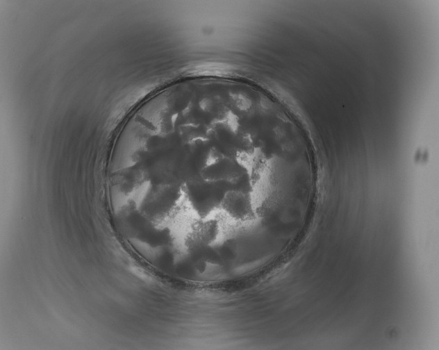 X0000113080529200909111005