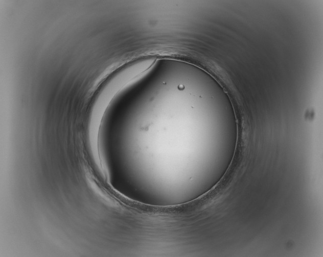 X0000113080530200909111005