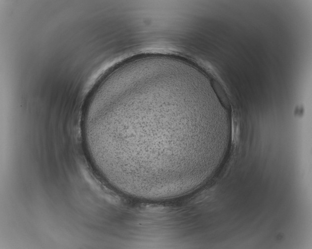 X0000113080531200909111005