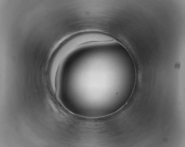 X0000113080532200909111005