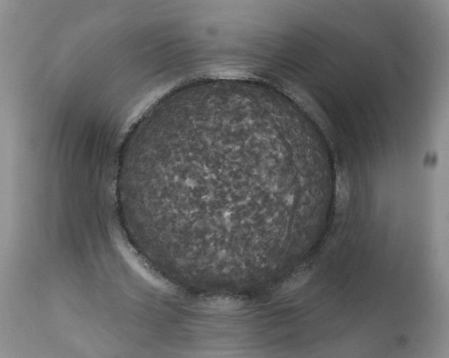 X0000113080533200909111005