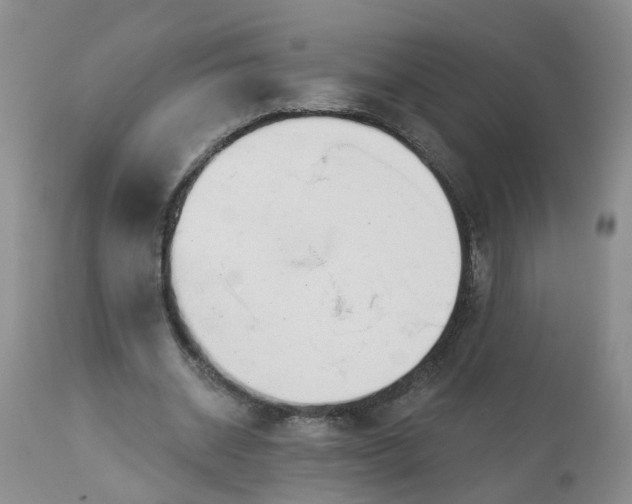 X0000113080534200909111005