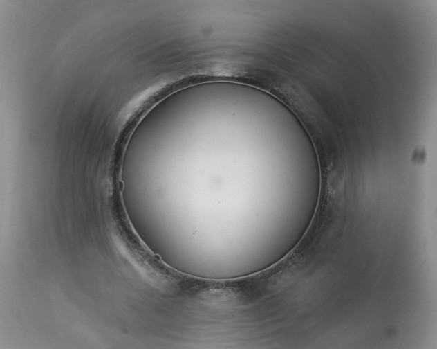 X0000113080536200909111005