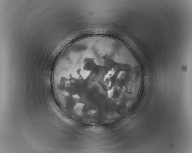 X0000113080537200909111005