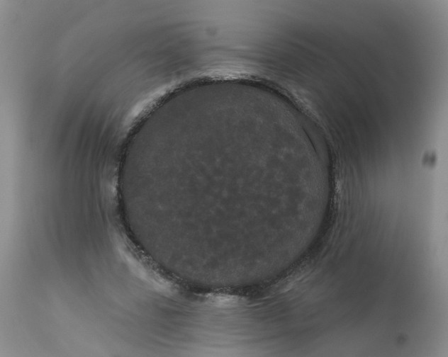 X0000113080539200909111005