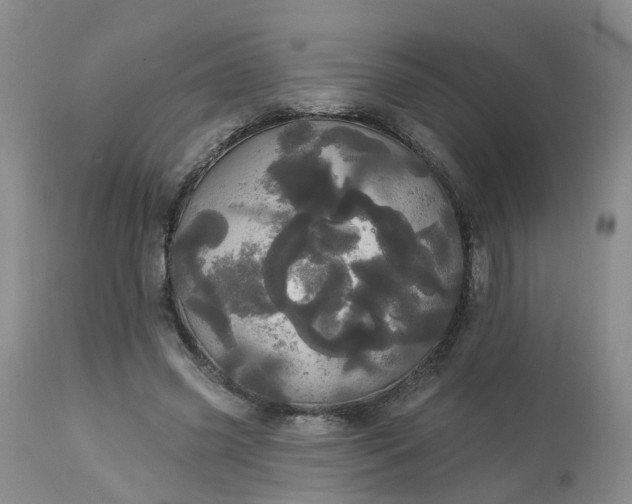 X0000113080541200909111005