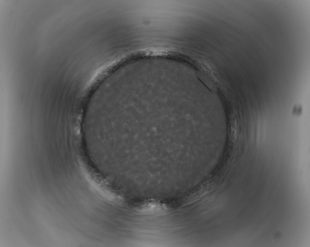 X0000113080543200909111005