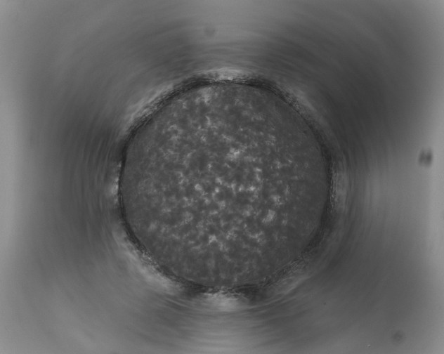 X0000113080545200909111006