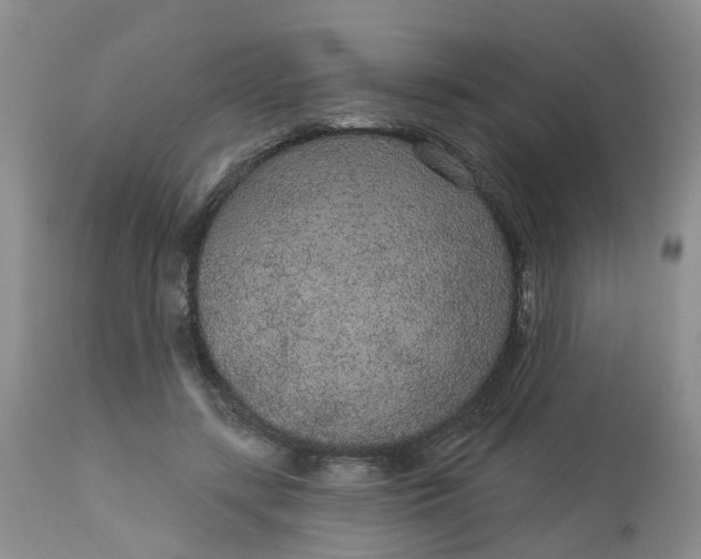 X0000113080547200909111006