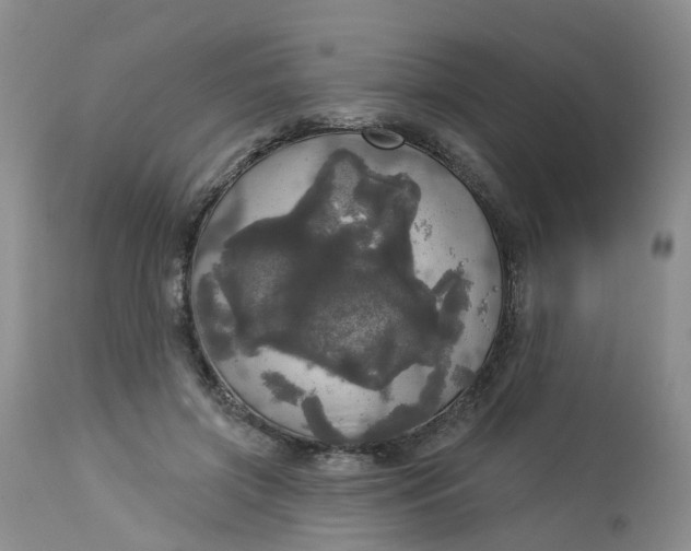 X0000113080549200909111006