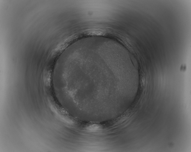 X0000113080551200909111006