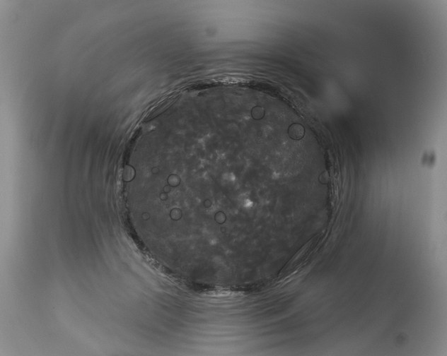 X0000113080553200909111006