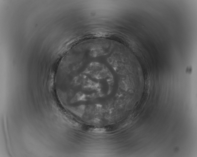 X0000113080554200909111006