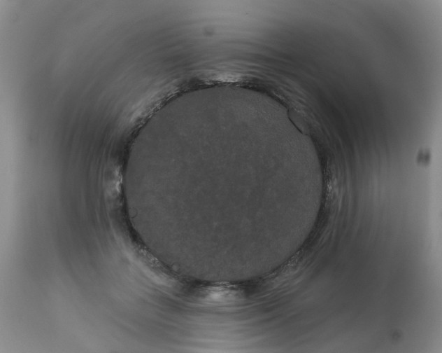 X0000113080555200909111006