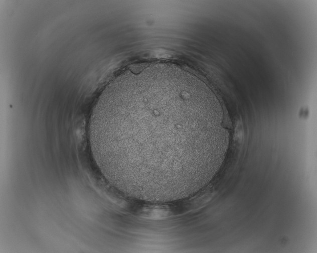 X0000113080559200909111006