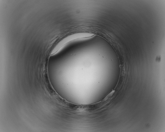 X0000113080560200909111006