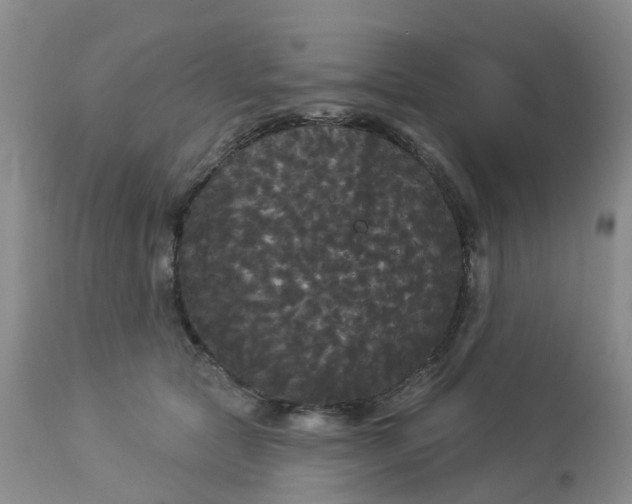 X0000113080561200909111006