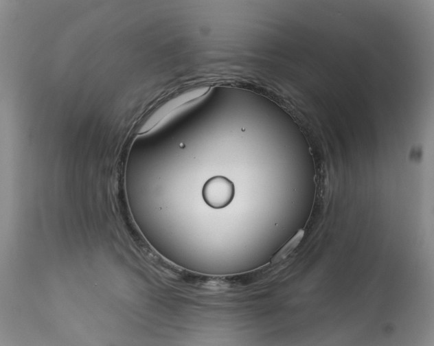 X0000113080562200909111006