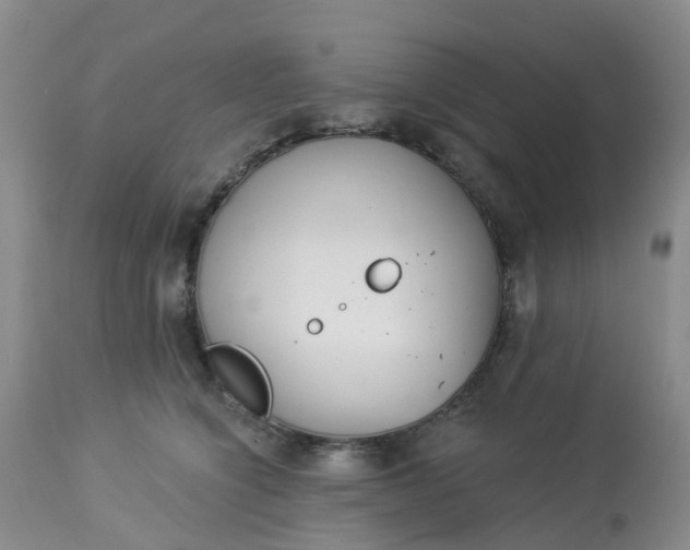 X0000113080564200909111006